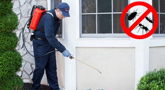 Lapseki Böcek İlaçlama böcek ilaçlama ve haşere kontrolü — ilaclama-tr.com